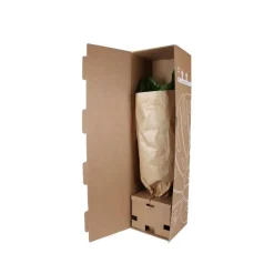 Olijfboom op stam - Winterhard - Tuinplant - ↕150-170 cm - Ø24cm - Olea Europaea op stam