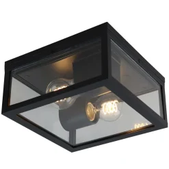 Olucia - Ivanka - Buitenplafondlamp - Zwart