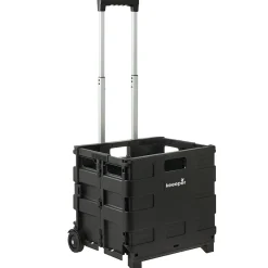 Overig Opbergbox Olli Opvouwbare Trolley - 45L Zwart