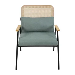Oviala Relaxfauteuil In Staal Synthetisch Rotan En Stof Miley Groente