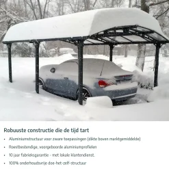 Canopia Palram | - Carport Camper Alpine - Grijs - 1290x359x307cm