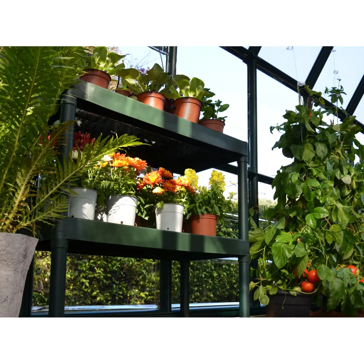 Canopia Palram- kweektafel groen 80x40x85cm
