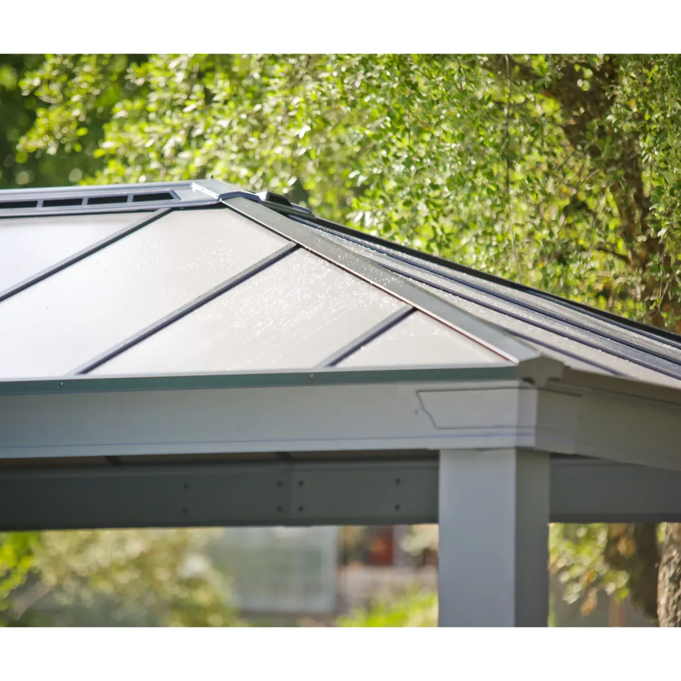 Canopia Palram | - Paviljoen Dallas - Antraciet - 6,1x4,3m