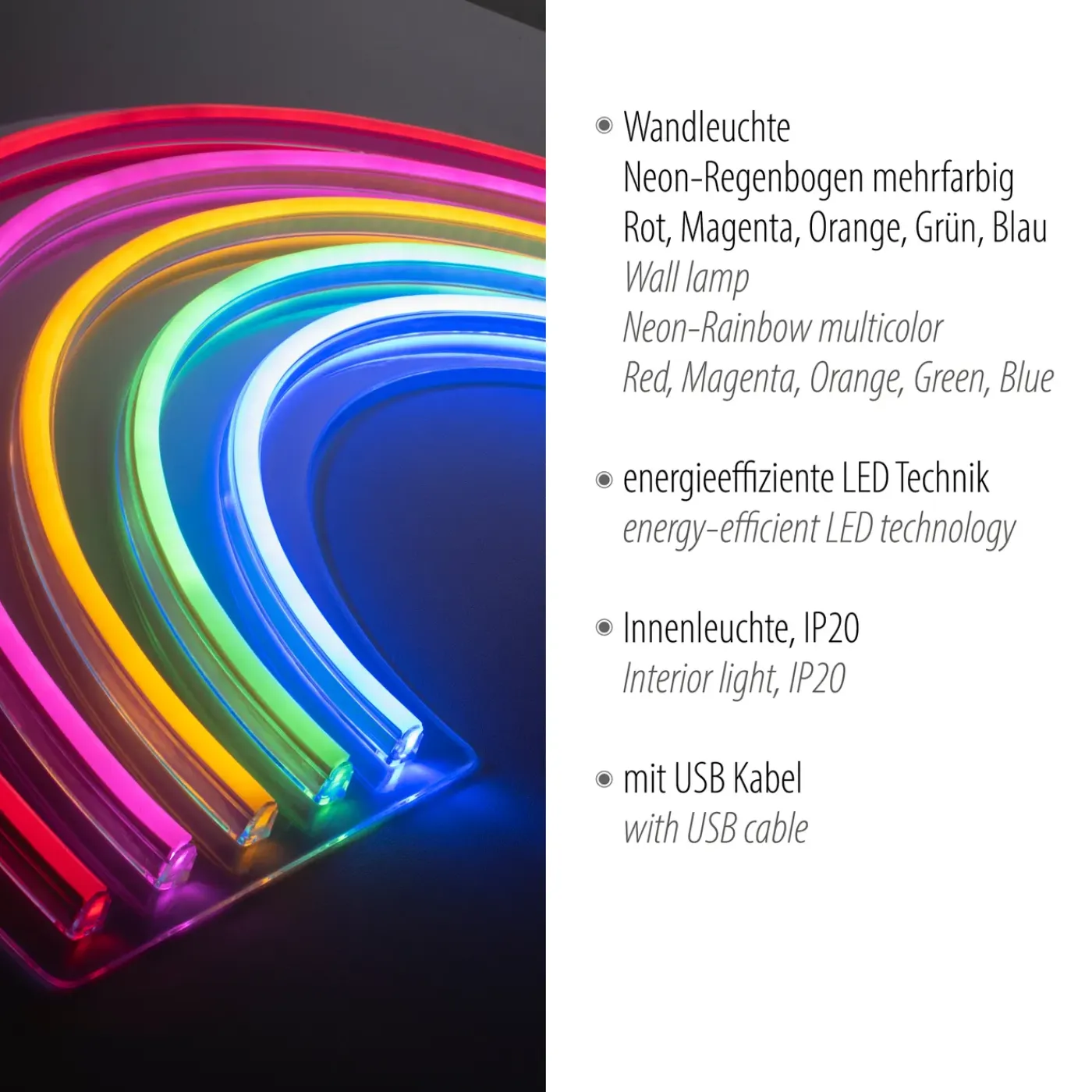 Paul Neuhaus Neon Lamp Regenboog - Meerkleurig - 8,5W - 63x32cm