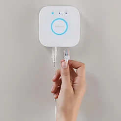 Philips Hue Bridge