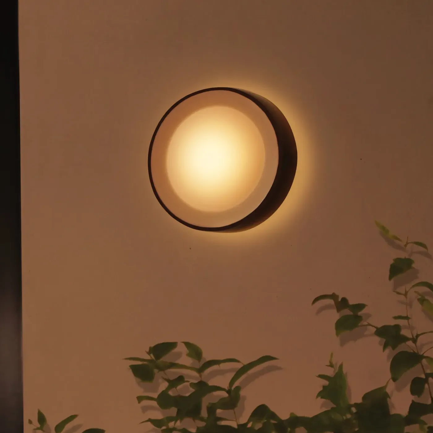 Philips Hue Daylo wandlamp - wit en gekleurd licht - zwart