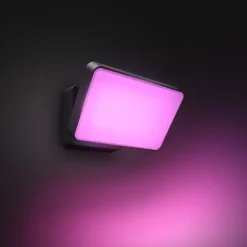 Philips Hue Discover Verstraler (zwart) - Incl. Bewegingssensor Voor Buiten