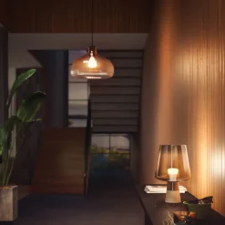 Philips Hue ledlamp warm wit E27 9W 2 stuks
