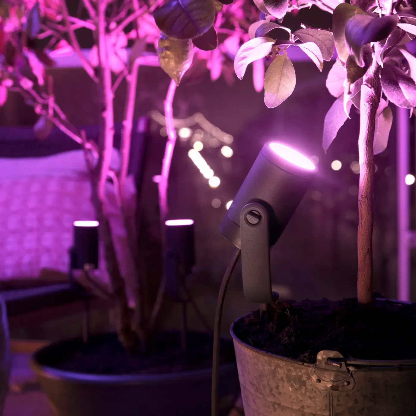 Philips Hue Lily tuinspot - wit en gekleurd licht - 3-spots - zwart - LowVolt - basis