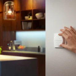 Philips Hue Slimme Draadloze Dimmer