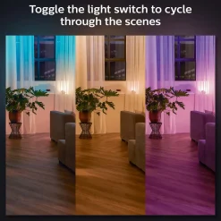 Philips Hue wandschakelaarmodule 2 stuks