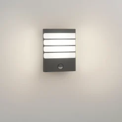 Philips muurverlichting met bewegingssensor Raccoon antraciet 3W