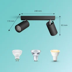 Philips Opbouwspot Idris - Zwart - 11,9cm - 2xGU10