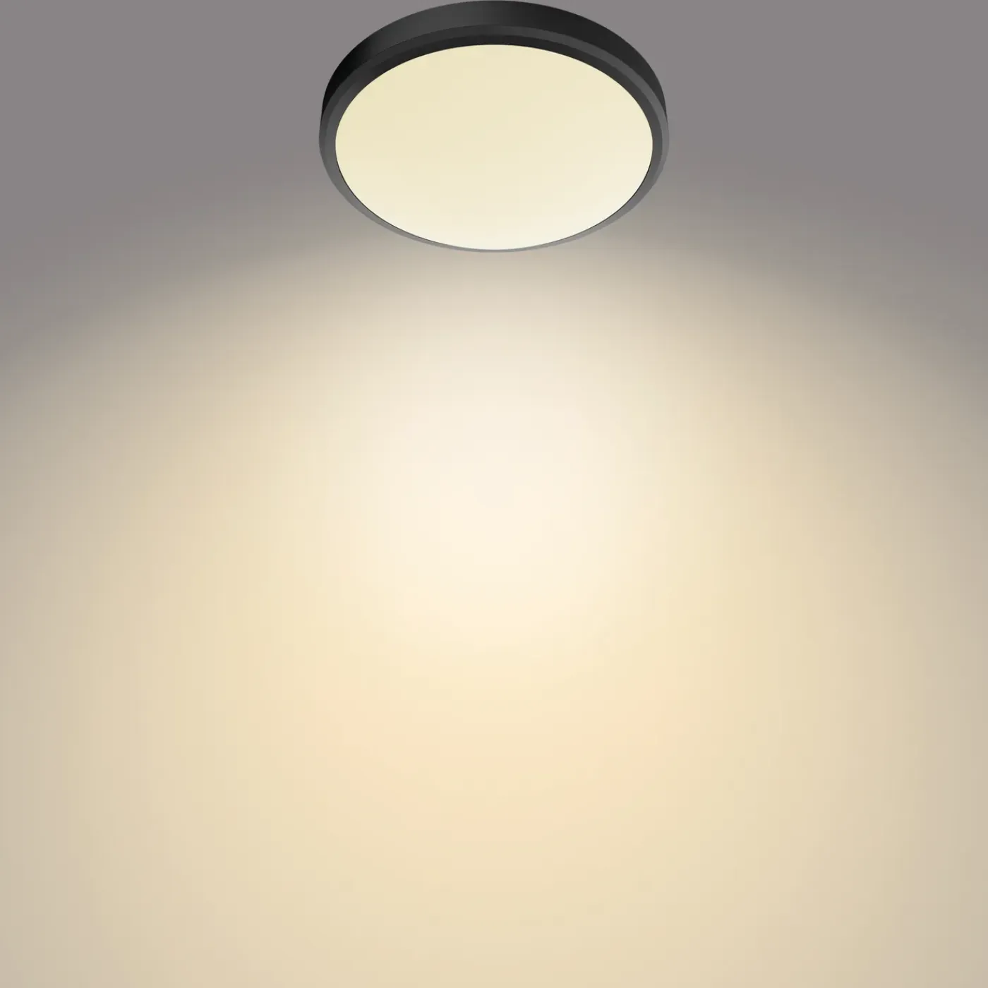 Philips plafondlamp Doris zwart ø31,3cm 17W