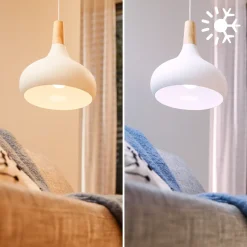 Philips slimme ledlamp A60 E27 8W set van 2