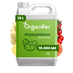 Phytophthora Concentraat - 10 L Voor 10.000 M2 - Organifer