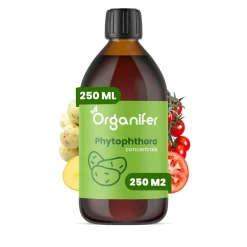 Phytophthora Concentraat - 250 Ml Voor 250 M2 - Organifer