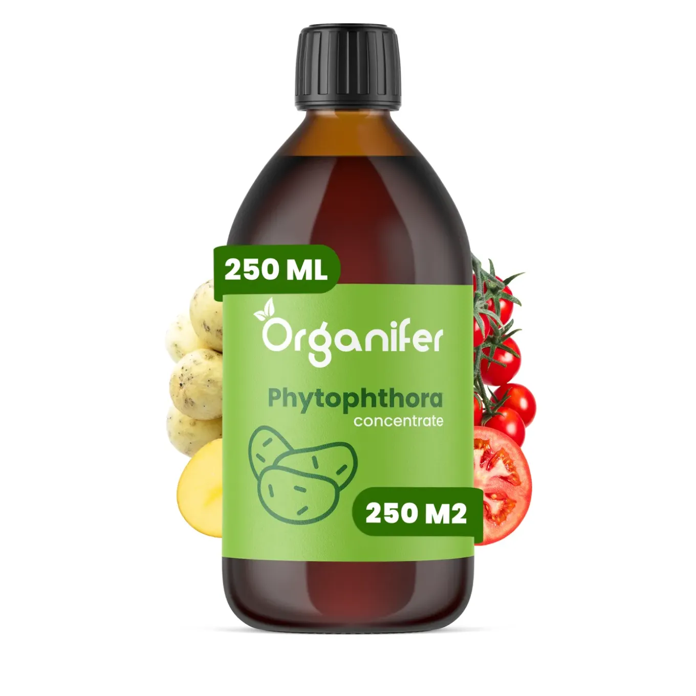 Phytophthora Concentraat - 250 Ml Voor 250 M2 - Organifer