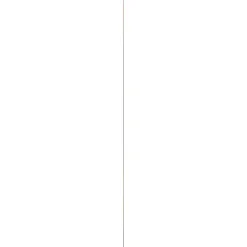 Overig Plakplint - Goudbruin Eiken - MDF - Folie - 240cm - 4x26mm