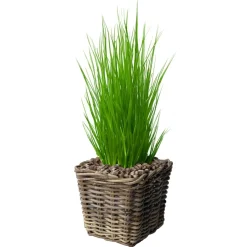 Van Der Leeden Planten/bloemen Mand - Rotan - Gevlochten Riet - L27xb27xh25 Cm