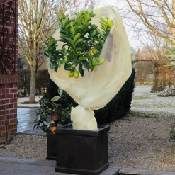 Plantenhoes Xl - 5 X 2 Meter - Anti-vorst Beschermhoes