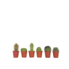 Plant in a Box - Cactaceae Mix Cactus X6 - Hoogte 5-10cm