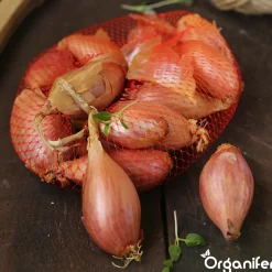 Organifer Plantuien Sturon 14/21 - 10 kg -