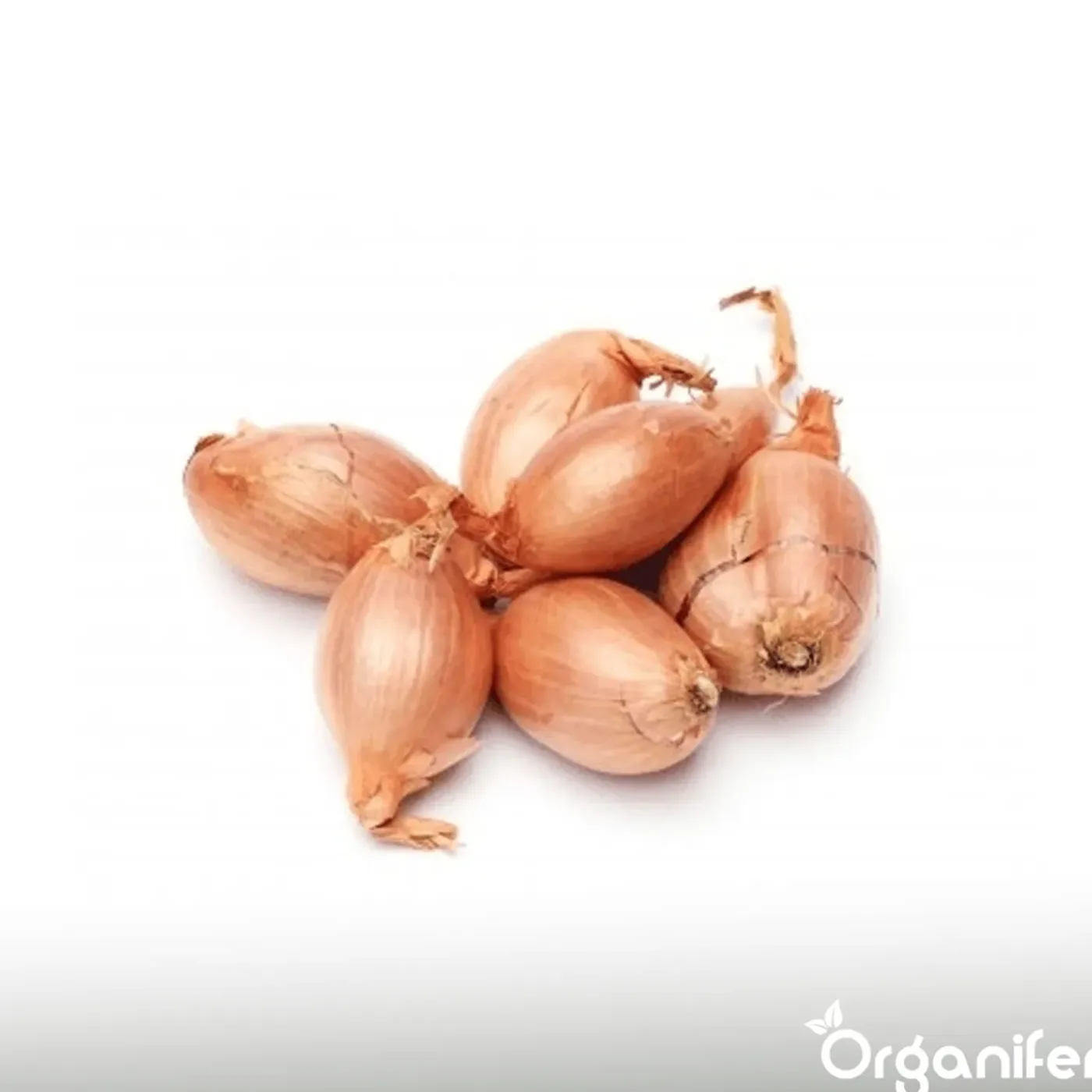 Organifer Plantuien Sturon 14/21 - 1000 kg -