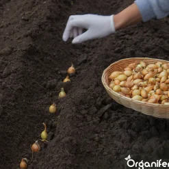 Organifer Plantuien Sturon 14/21 - 1000 kg -