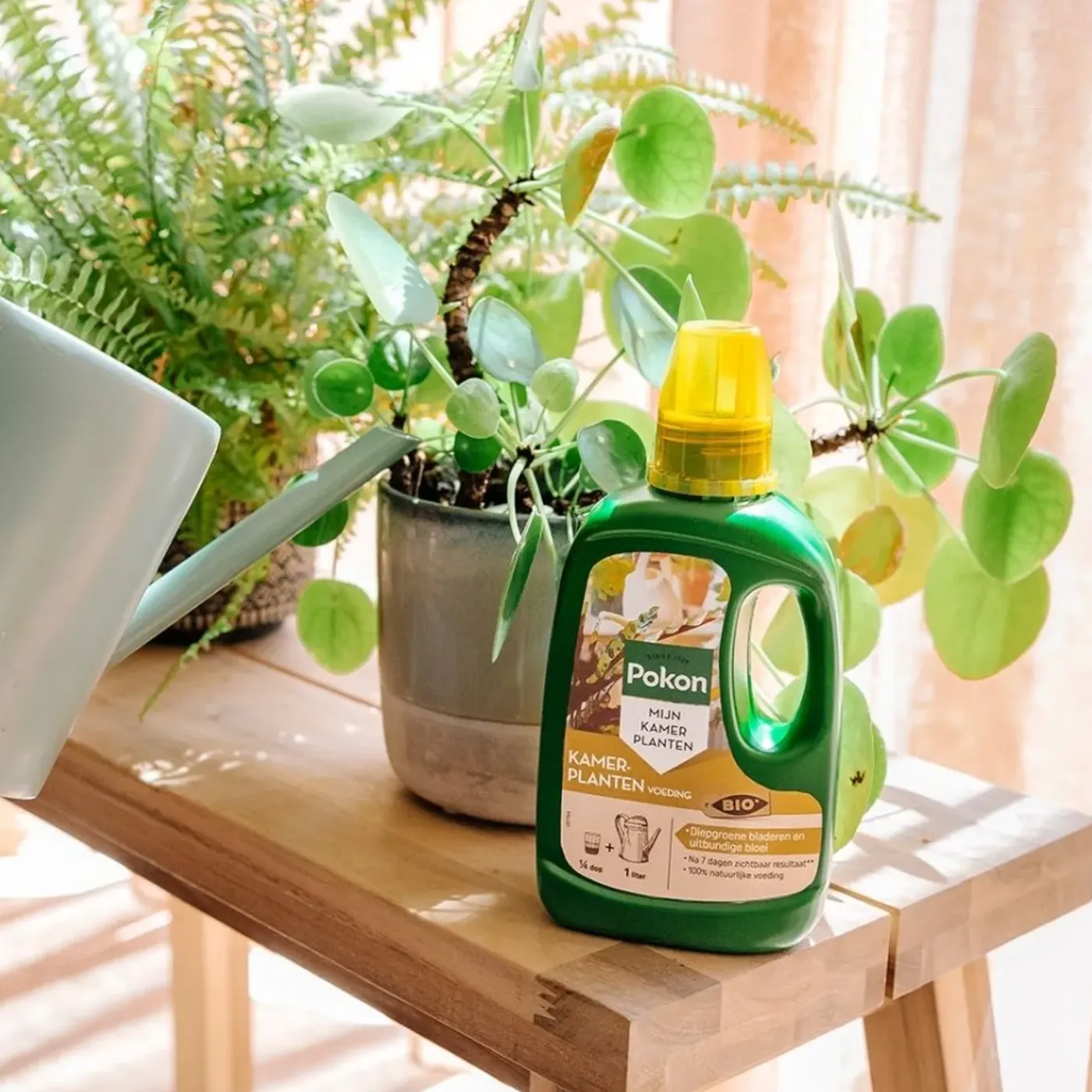 Pokon Bio Kamerplanten Voeding - 500ml