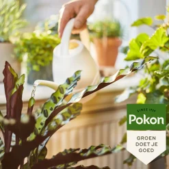 Pokon Bio Kamerplanten Voeding - 500ml
