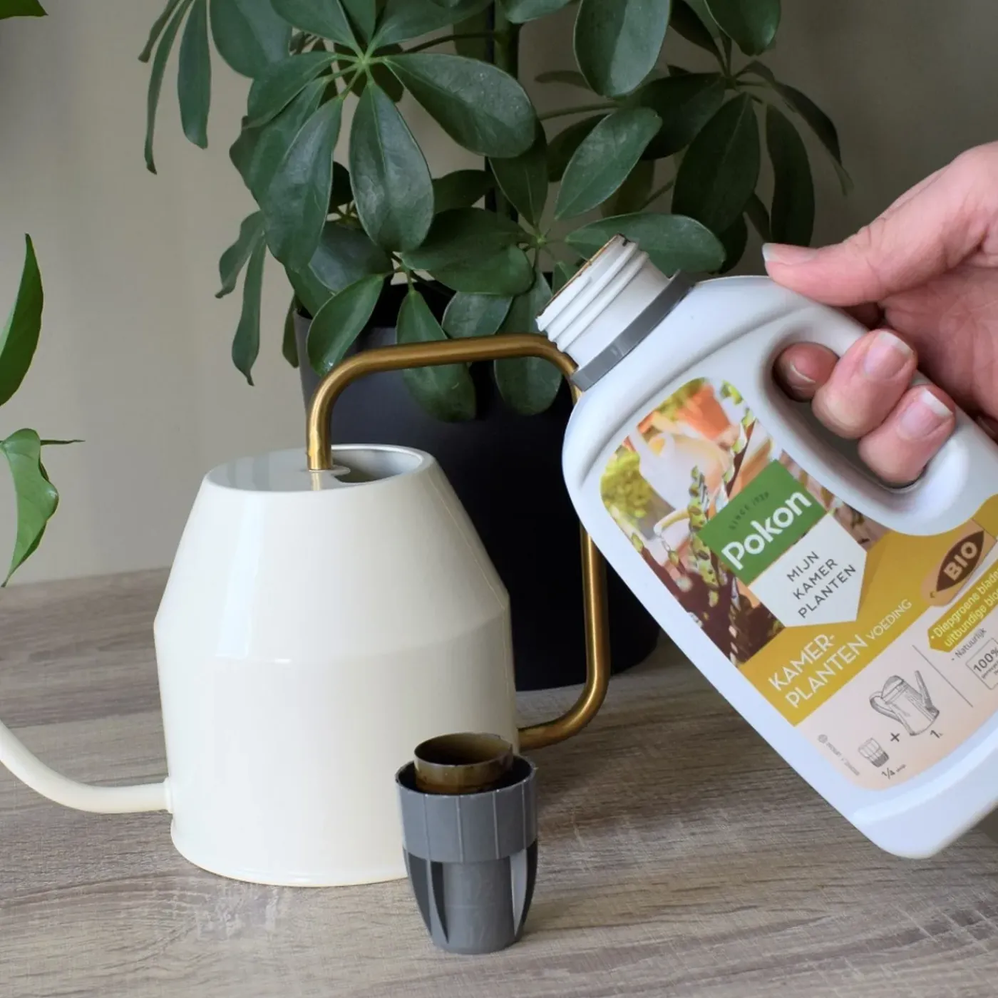 Pokon Bio Kamerplanten Voeding - 500ml