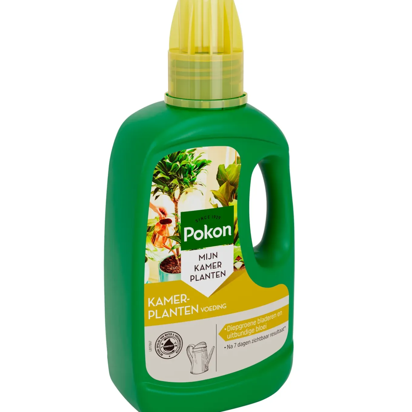 Pokon kamerplanten voeding 500ml