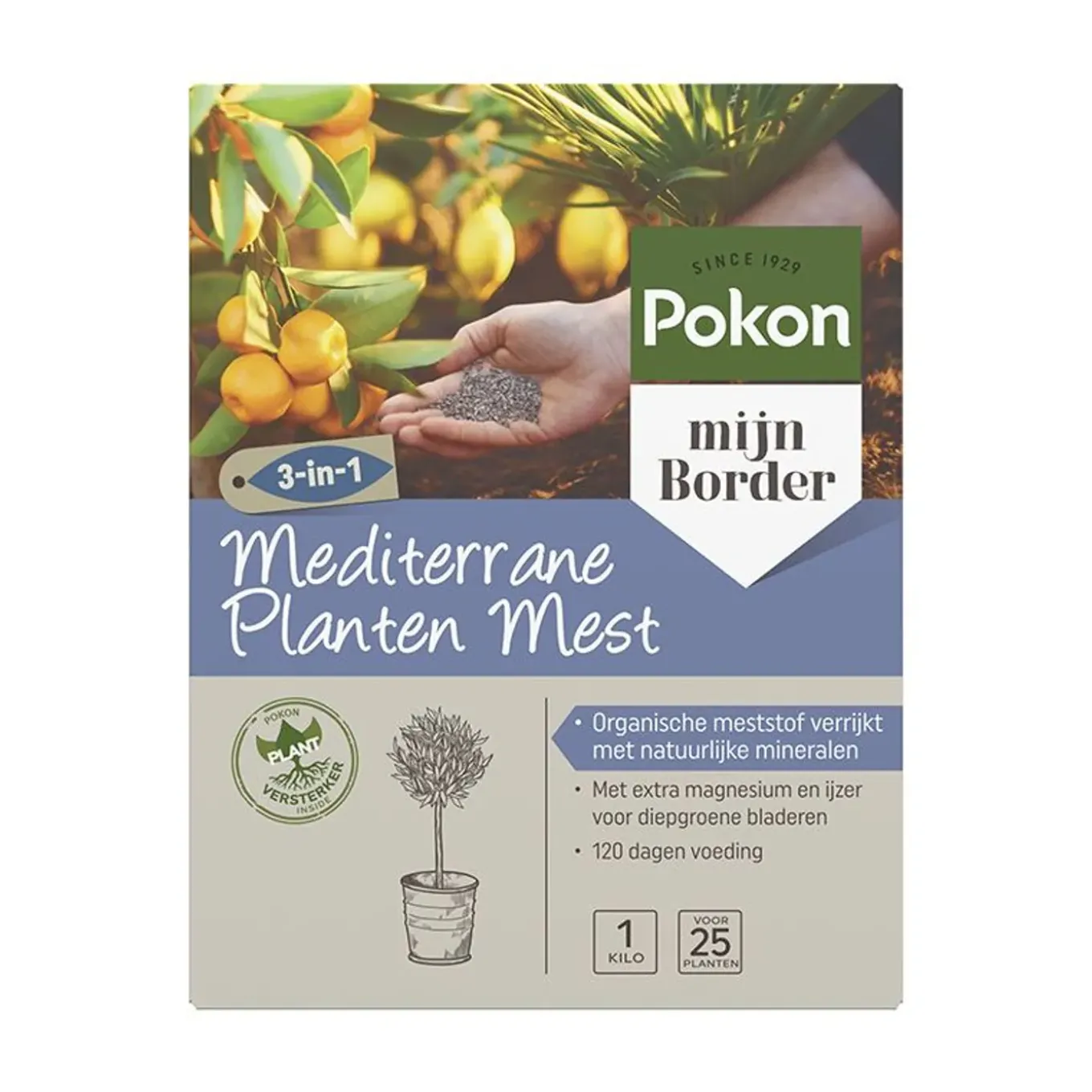 Pokon Mediterrane Planten Mest -1kg