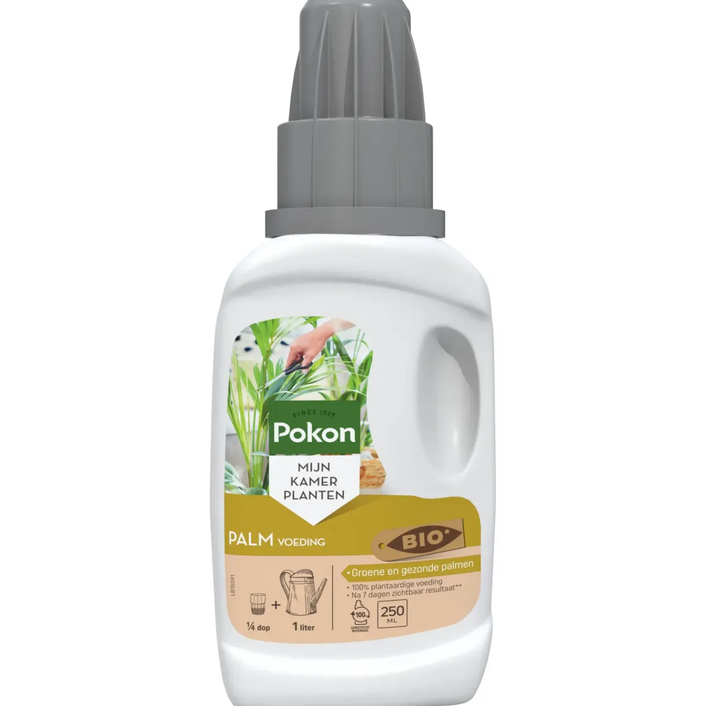 Pokon Palm Voeding 250ml