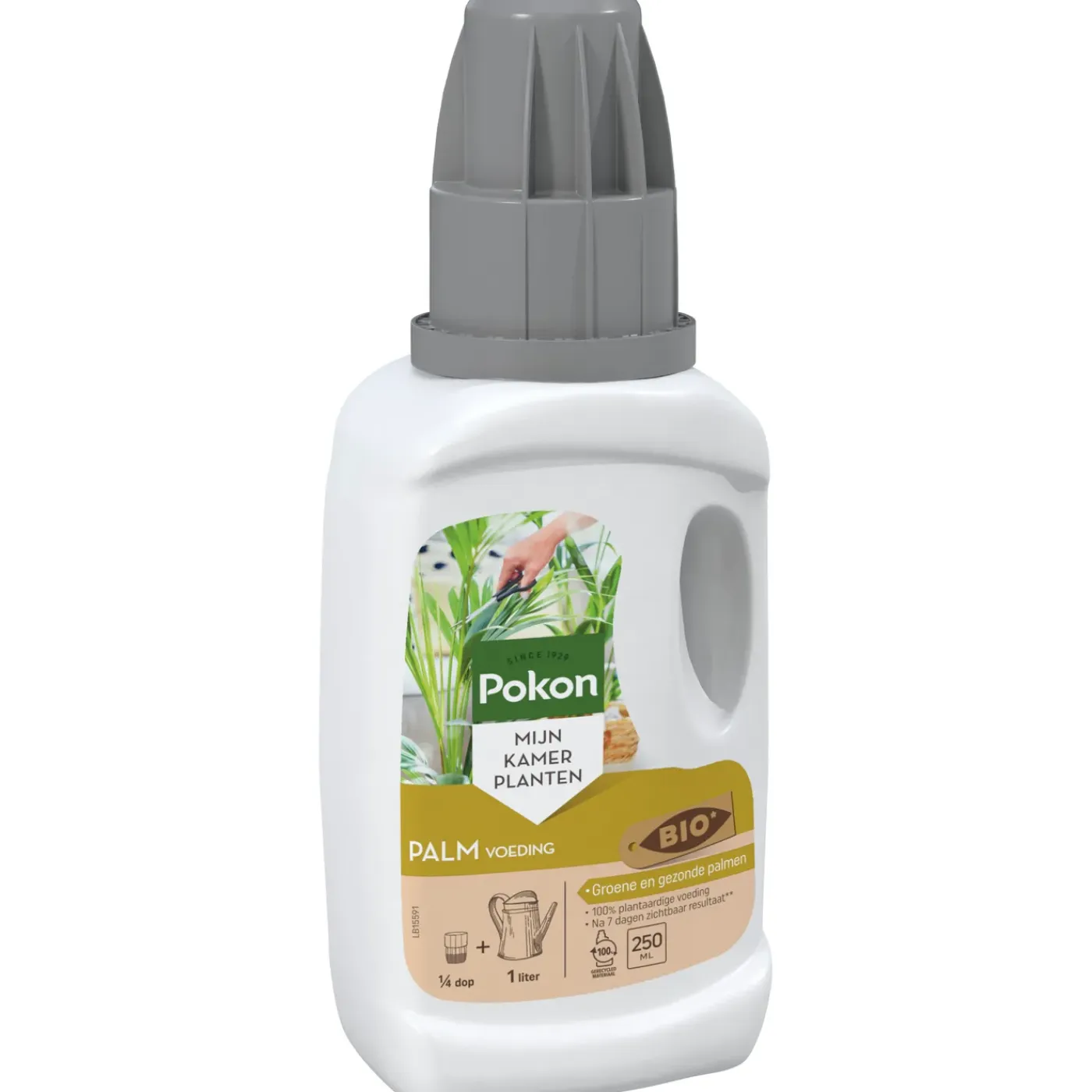 Pokon Palm Voeding 250ml
