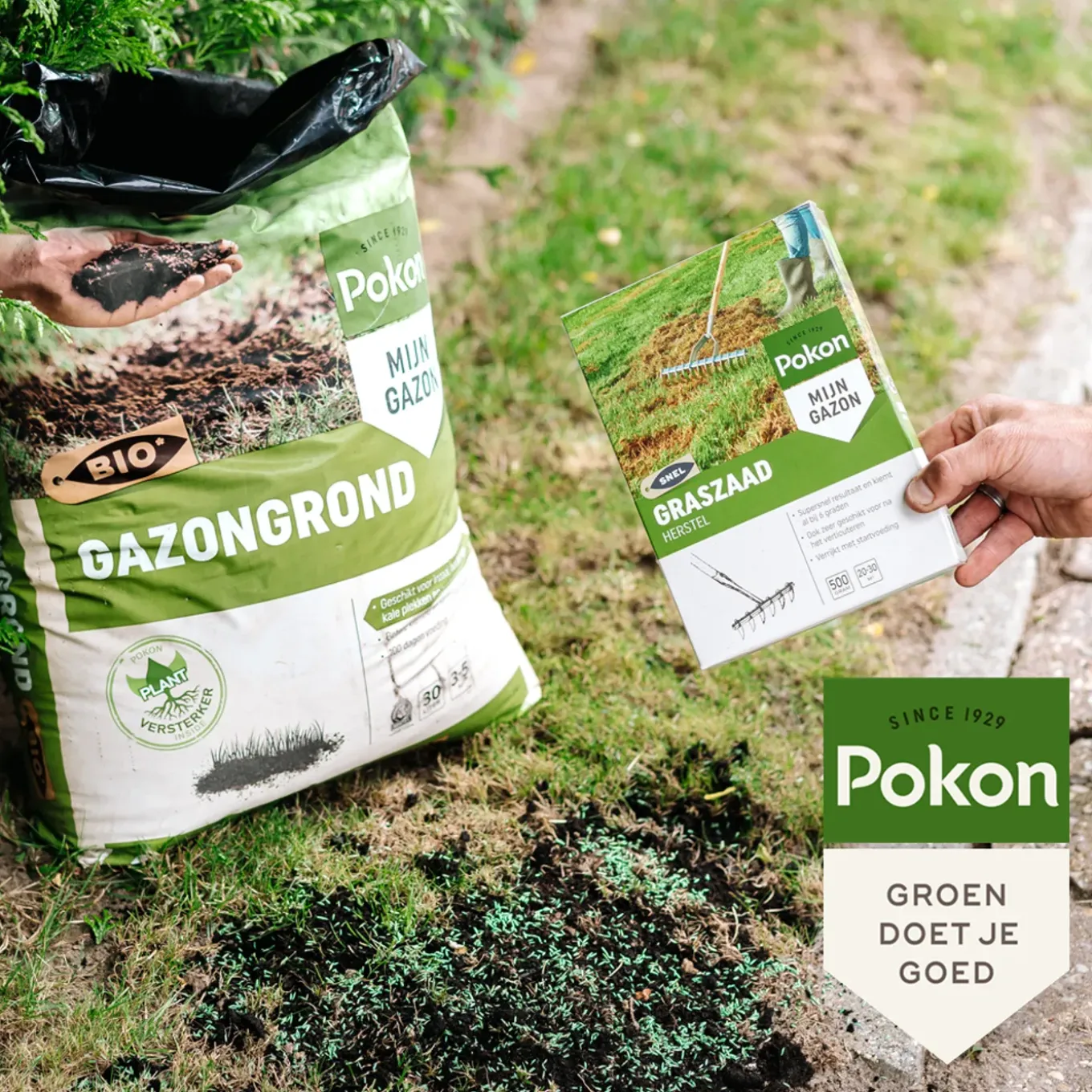 Pokon Sos Graszaad Herstel - 2kg