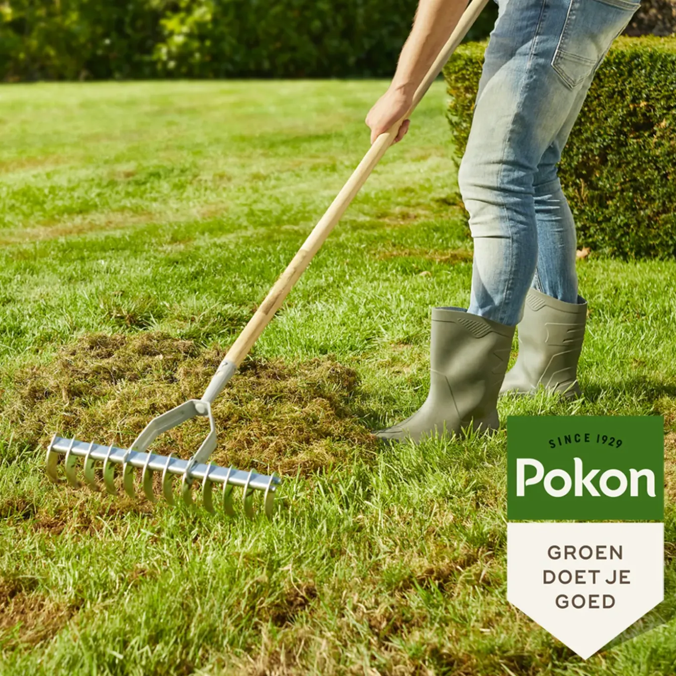 Pokon Sos Graszaad Herstel - 2kg