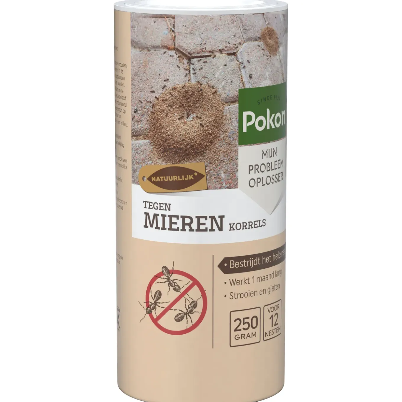 Pokon Tegen Mieren Korrels - 1 Stuk