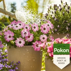Pokon Terras & Balkon Planten Voeding - 500ml