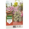 Pokon terras & balkon voedingskegels 10 stuks