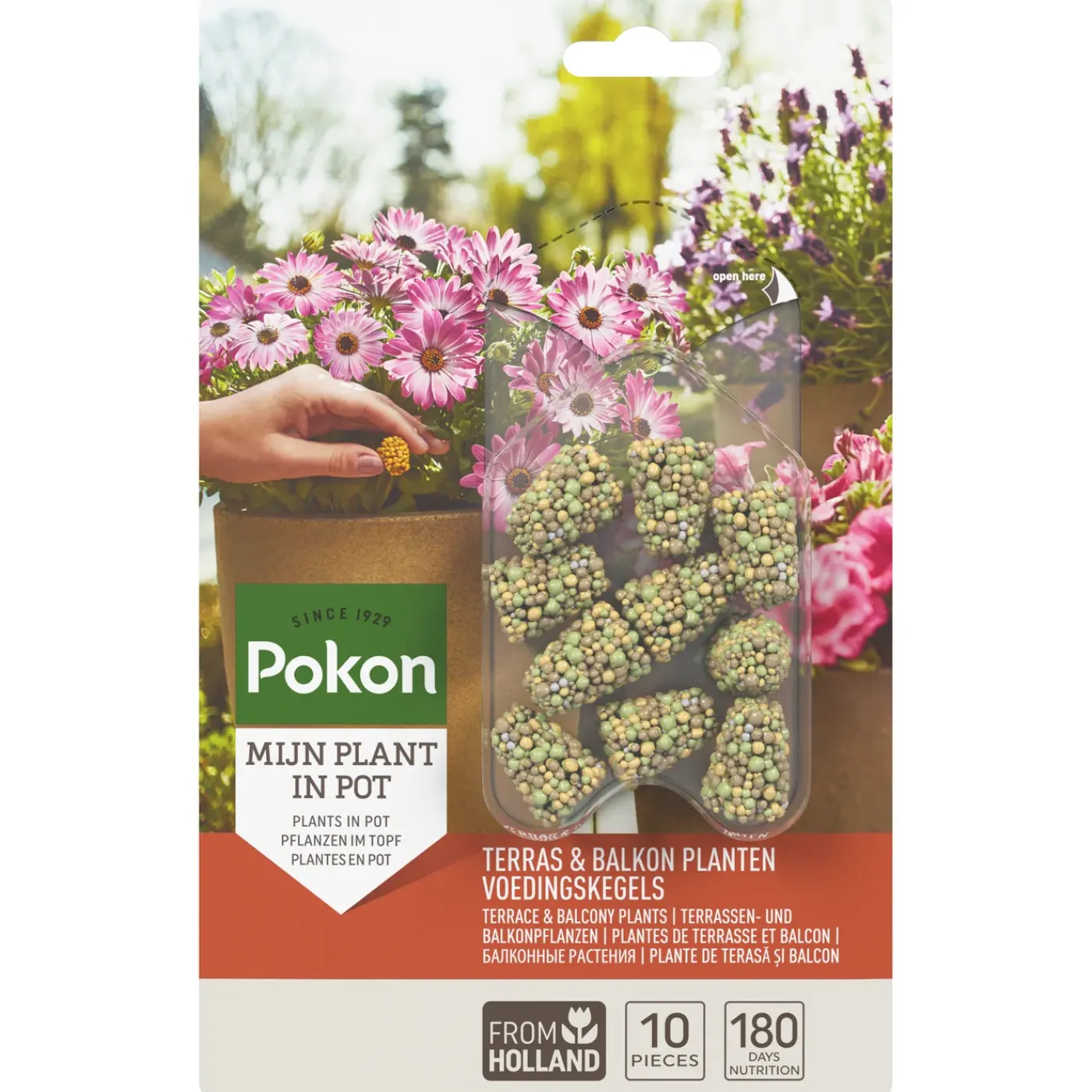 Pokon terras & balkon voedingskegels 10 stuks