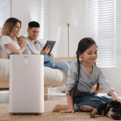 Pro Breeze Omnidry Luchtontvochtiger 12l/dag - Automatische Vochtigheidssensor & Wasdroogfunctie