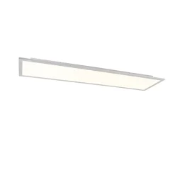 Qazqa Led Paneel Staal 120 Cm Incl. Led Met Afstandsbediening - Liv