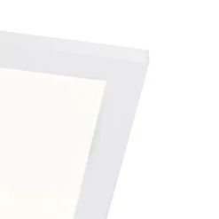 QAZQA Led Paneel Staal 120 Cm Incl. Led Met Afstandsbediening - Liv