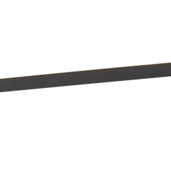 QAZQA Led Paneel Zwart 40 Cm Incl. Led Met Afstandsbediening - Live