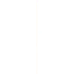 Ronde stok - Grenen - Onbehandeld - Diameter 12mm - 270cm