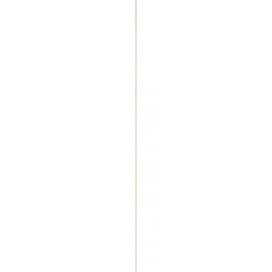 Overig Ronde stok - Grenen - Onbehandeld - Diameter 9mm - 270cm