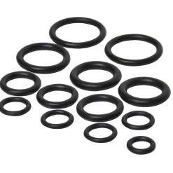 Sanivesk O-Ringen assortiment 12 stuks 4pp