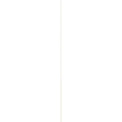 Schaaflat - Grenen - 4x18mm - 270cm